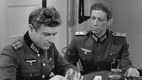 More Than Life At Stake Season 1 Episode 11 - Episode 11