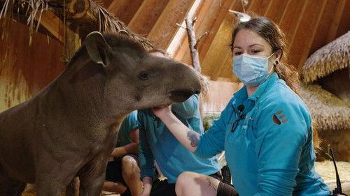 Dyrepasserne Season 11 Episode 3 - Episode 3