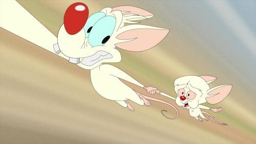 Animaniacs Season 2 Episode 21 - Happy Narfday