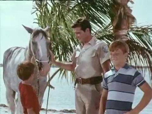 Flipper Season 2 Episode 12 - Flipper and the Horse Thieves