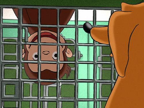 Curious George Season 2 Episode 15 - Free Hundley