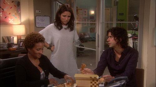 The New Adventures of Old Christine Season 5 Episode 3 - The Mole