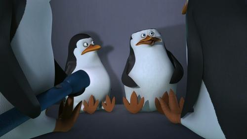 The Penguins of Madagascar Season 1 Episode 19 - Needle Point