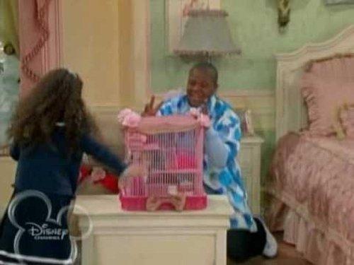 Cory in the House Season 1 Episode 20 - A Rat by Any Other Name