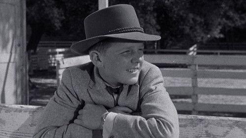 The Adventures of Spin and Marty Season 1 Episode 3 - The Misfit