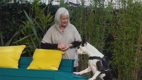 The Dog House NZ Season 1 Episode 4 - Episode 4