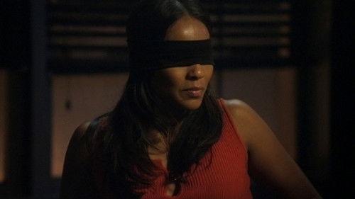 CSI: NY Season 7 Episode 14 - Smooth Criminal