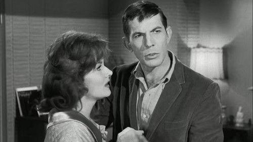 Perry Mason Season 6 Episode 13 - The Case of the Shoplifter's Shoe