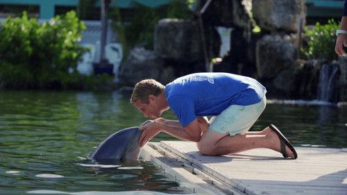 Making Good Season 2 Episode 2 - Island Dolphin Care