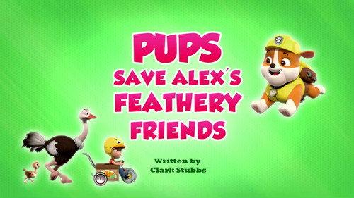 undefined Season 9 Episode 30 - Pups Save Alex's Feathery Friends
