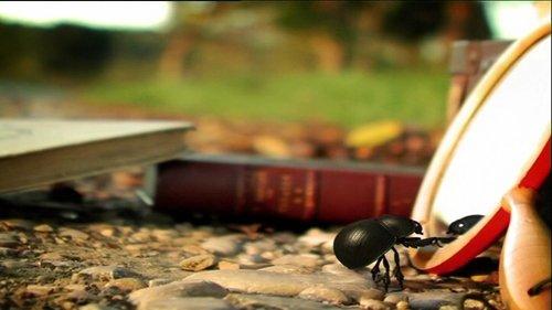 Minuscule: The Private Life of Insects Season 1 Episode 26 - Narcissus