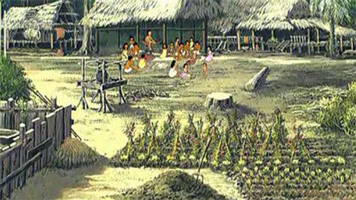 Once Upon a Time... Planet Earth Season 1 Episode 9 - Amazon forest