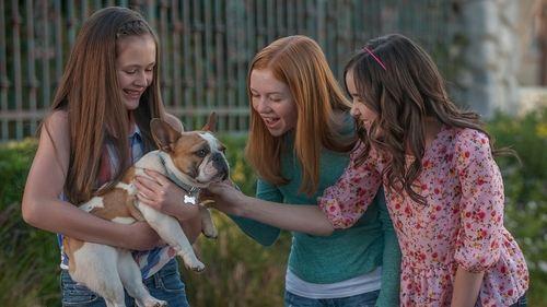 Just Add Magic Season 1 Episode 3 - Just Add Dogs