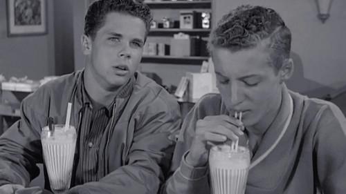 Leave It to Beaver Season 4 Episode 8 - Eddie's Double-Cross