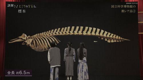 Nazotoki! Himitsu no Shiho-san Season 1 Episode 11 - Earth’s Treasures: National Museum Specimens