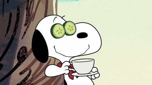 Camp Snoopy Season 1 Episode 9 - Bed Heads & Beagle Care / The Great Gold Rush
