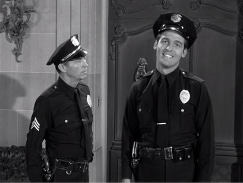 The Beverly Hillbillies Season 1 Episode 19 - Elly's Animals