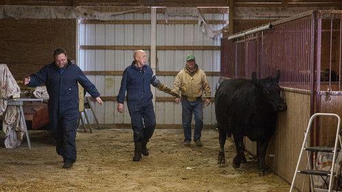 The Incredible Dr. Pol Season 5 Episode 9 - The Upper Hoof