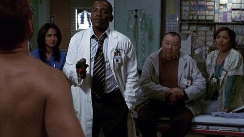ER Season 14 Episode 14 - Owner of a Broken Heart