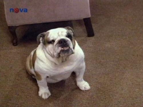 Jake and the Fatman Season 3 Episode 4 - The Way You Look Tonight