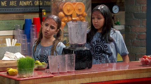 Sydney to the Max Season 1 Episode 12 - Little Shop of Reynolds
