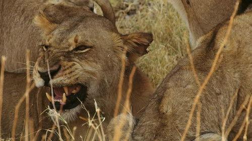 Savage Kingdom Season 3 Episode 5 - Fall of the Queen