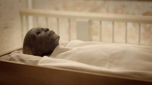 Tut's Treasures: Hidden Secrets Season 1 Episode 3 - Tales from the Tomb