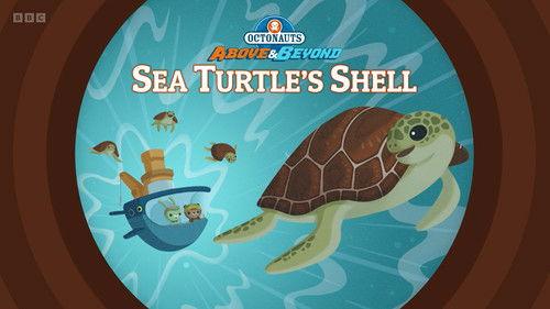 Octonauts: Above & Beyond Season 3 Episode 22 - Sea Turtle’s Shell