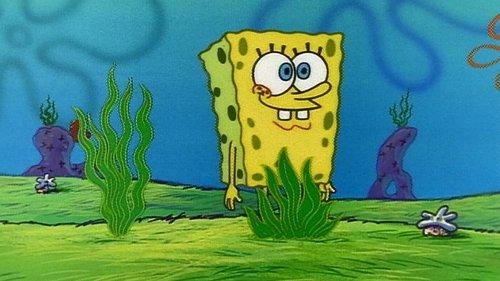 SpongeBob SquarePants Season 1 Episode 18 - Nature Pants