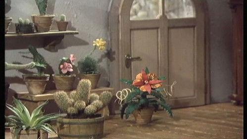 Jája and Pája Season 1 Episode 6 - How to grow cactus