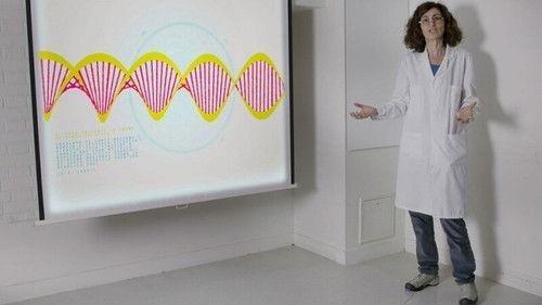 42 – The Answer to Almost Everything Season 1 Episode 6 - Episode 6