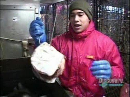 Deadliest Catch Season 1 Episode 1 - Greenhorns