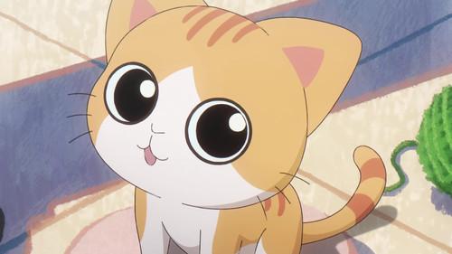 Link Click: The Daily Life in Lightime Season 1 Episode 4 - Episode 4