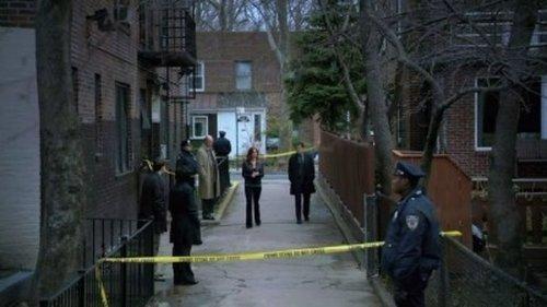 undefined Season 1 Episode 1 - Pilot