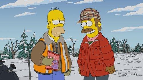 undefined Season 33 Episode 6 - A Serious Flanders (1)