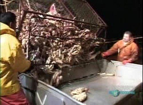 Deadliest Catch Season 1 Episode 3 - Lady Luck