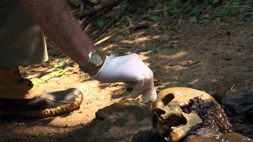 Forensic Firsts Season 1 Episode 4 - Insect Evidence