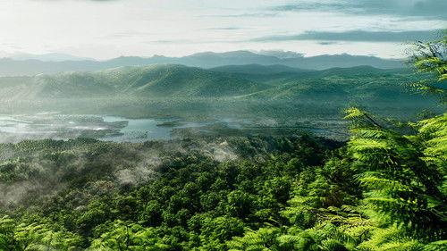 undefined Season 1 Episode 3 - Green