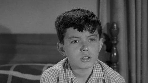 Leave It to Beaver Season 4 Episode 10 - Wally's Glamour Girl