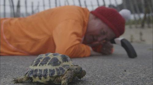 Katie Morag Season 2 Episode 6 - Katie Morag and the Big Shinty Match