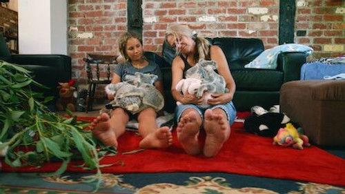 Izzy's Koala World Season 2 Episode 7 - Henry's Home