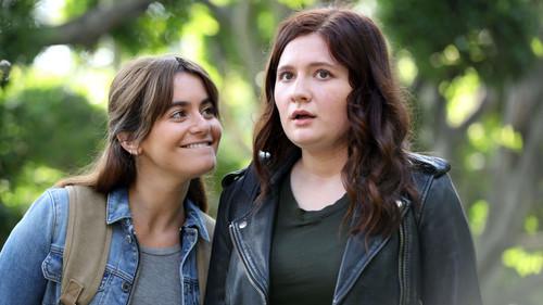Shameless Season 10 Episode 10 - Now Leaving Illinois