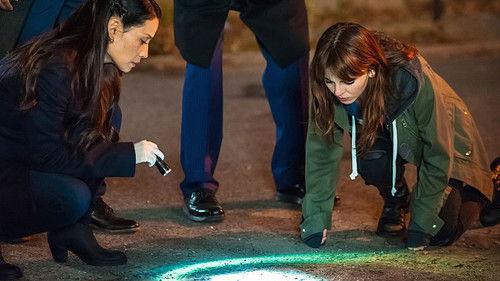 Elementary Season 3 Episode 8 - End of Watch