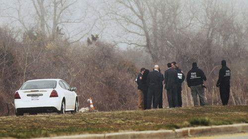 The Killing Season Season 1 Episode 8 - American Nightmare