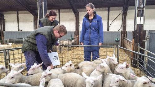 Farmer Wants a Wife Season 8 Episode 8 - Episode 8