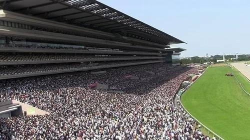 Document 72 Hours Season 9 Episode 19 - The Race Before the Japanese Derby