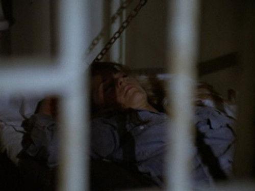 The Bionic Woman Season 2 Episode 15 - Deadly Ringer (1)