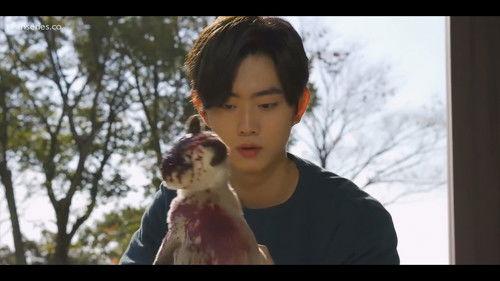 Color Rush Season 2 Episode 6 - Episode 6