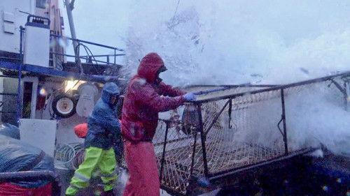 Deadliest Catch Season 12 Episode 9 - Into the Gale