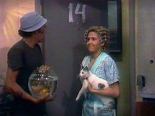 El Chavo del Ocho Season 1 Episode 15 - El Utilero Inútil / El Gato y los Peces